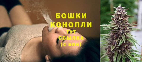 ешки Аркадак