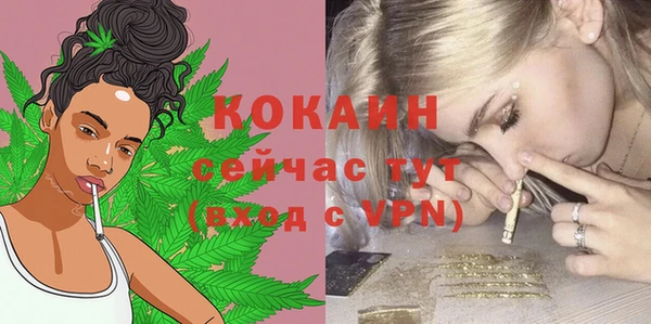 гидра Балахна