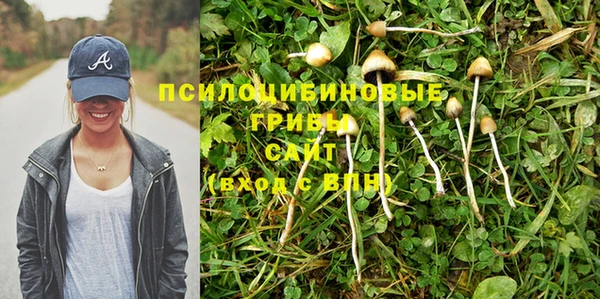 гидра Балахна