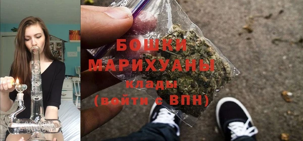 ешки Аркадак