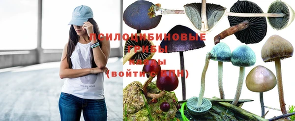 дурь Армянск