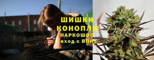 ПСИЛОЦИБИНОВЫЕ ГРИБЫ Балабаново