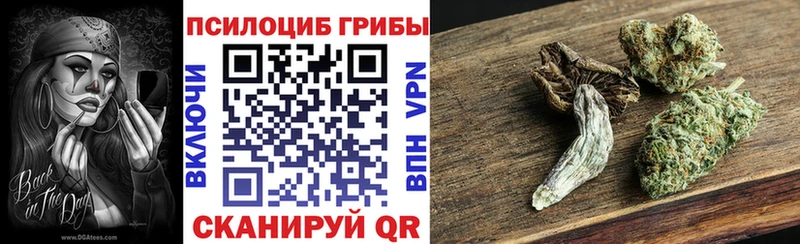 Псилоцибиновые грибы прущие грибы Никольское