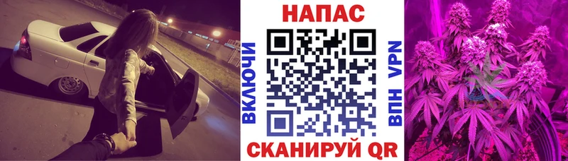 МАРИХУАНА White Widow  darknet как зайти  Никольское 